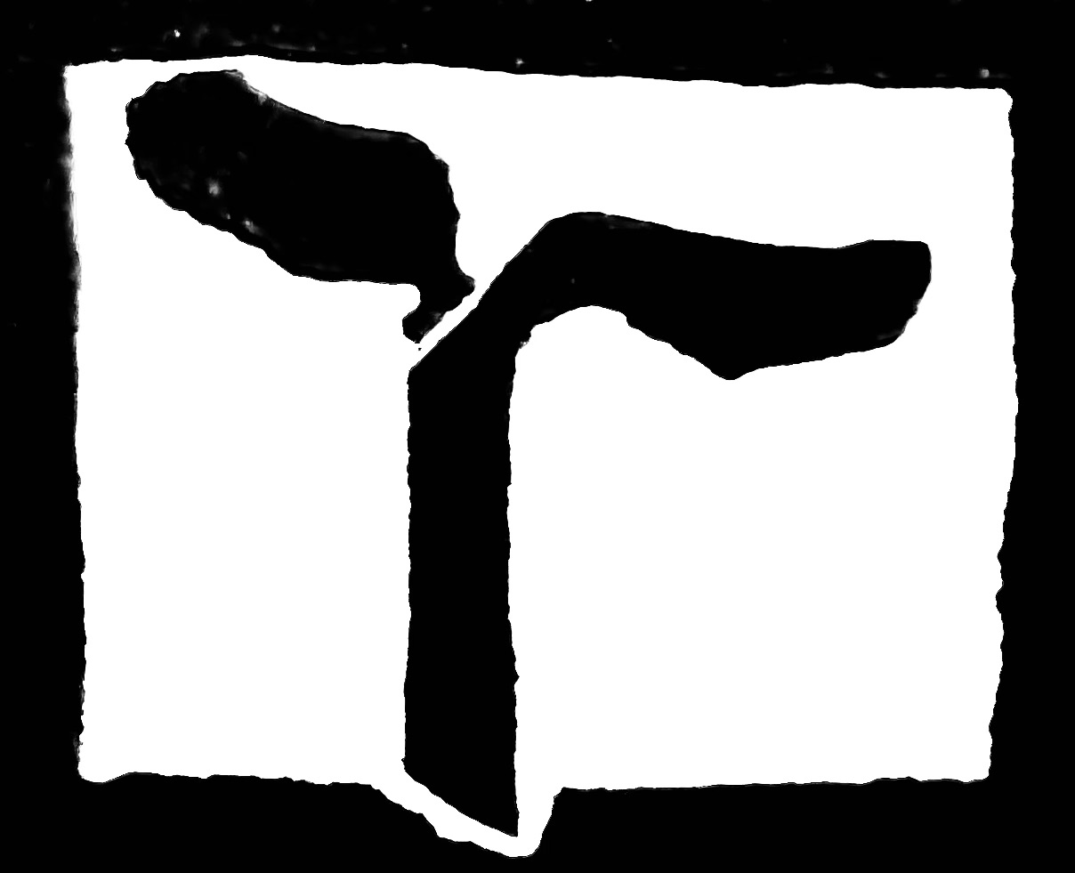 Prozessbegleitung & Supervision